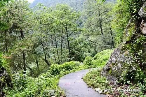 探探猫历险记2